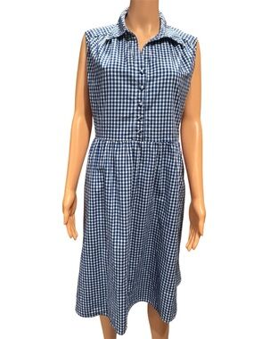 French Connection Blue Gingham Sleeveless Button Dress